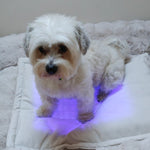 Restore Pillow® LED-ljusterapikudde