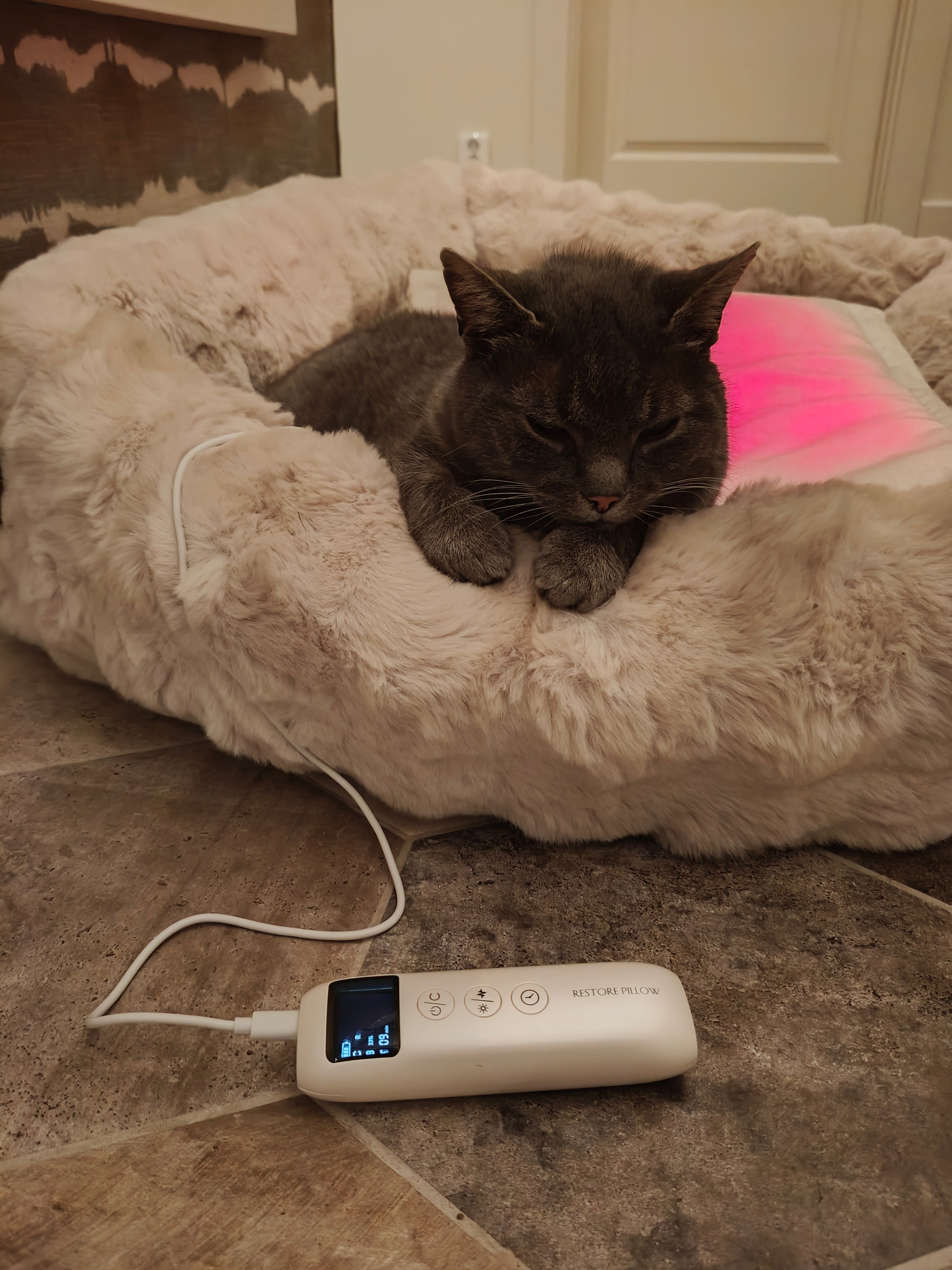 Restore Pillow® LED-ljusterapikudde