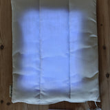 Restore Pillow® Pet Ljusterapikudde