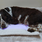 Restore Pillow® LED-ljusterapikudde