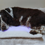 Restore Pillow® LED-ljusterapikudde